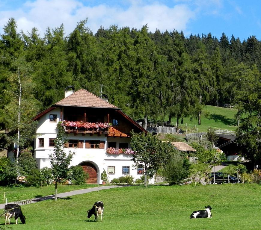 Laerchhof Villa Collalbo Kültér fotó